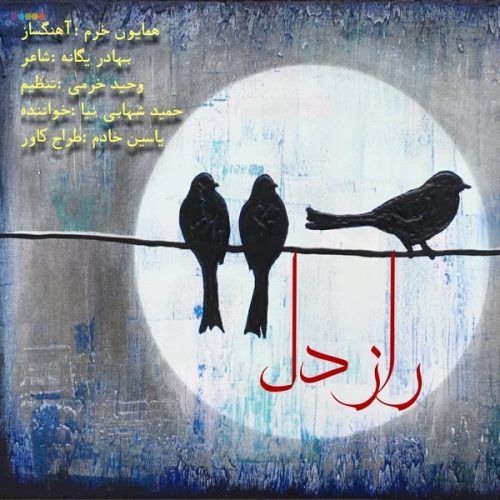 Hamid Shahabi Nia   –  Raze Del